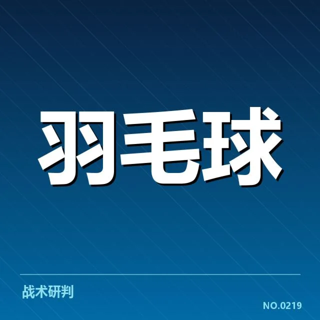 主要女双组合的合作模式与赛程